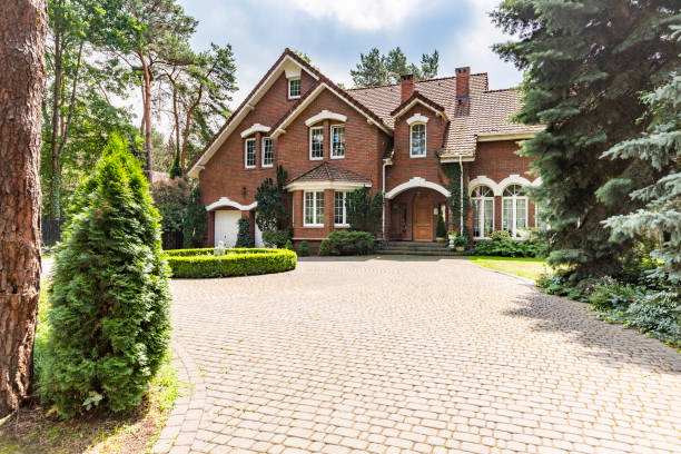 Best Interlocking Driveway Pavers  in Socorro, TX